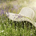 무릎위살빼는법어렵지만 쉬운이야기 <수<b>미르</b>>