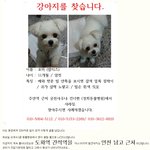 [도와주세요] [<b>인천</b>] 강아지를 찾습니다.