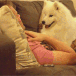 [EXO] <b>부비</b>부비