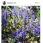 [EXO] 태연 인스타 까면 깔수록 떡밥 나옴 ~~~~~~