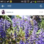 [EXO] 비단꽃향무 =5월6일탄생<b>화요</b>