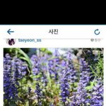[exo] 변백현 생일때였나, 변백현 <b>탄생</b>화잼ㅋㅋㅋㅋㅋㅋㅋㅋㅋㅋ