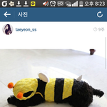 [EXO] 백현이가 벌과 <b>꿀</b>을 좋아하는이유