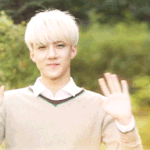 [EXO] 짤 파티라도 하면 기분이 나아질까?