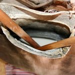 [공미니] 세계 10대 혐오음식