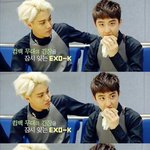 [EXO] 백현 최애인데 <b>공홈</b>갸힝때문에 최애바뀜
