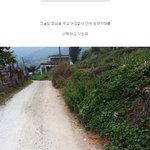 [커피] 분쇄기 없이 <b>야생</b>의 드립 커피를 마셔보자!!!