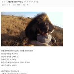 [틴펫스토리] 회사 부도낸 <b>디</b><b>씨</b>인 클라스