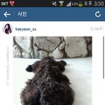[EXO] 태연돌려말하기종<b>나잘</b>하네