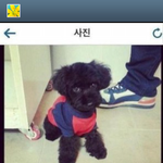 [EXO] 애들아 혐이 <b>이신발</b>찾아봐