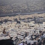 [EXO] @@@너네 어떡할건데?@@@@