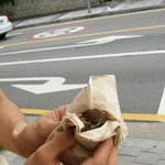 [유기동물] 제발 도와주세요