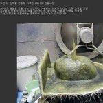 [귀신의집] 갑자기 갖고 싶어질 단백질 <b>인형</b>