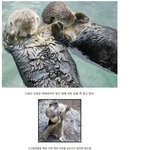 [귀신의집] <b>동물</b>에 관한 29가지 신기한 사실