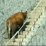 [EXO] @@@@브아걸 killdill 지금얘기랑 똑같@@@@