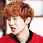 [EXO] 기승전발암=백<b>혐의</b> 조롱