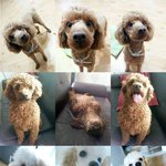 [EXO] 근데 김종인 차별쩔어 ㅋ