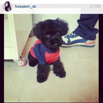 [EXO] ㅂㅂㅎ 이런운동화 있냐?