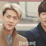 [EXO] 아 세훈이 코 조카 부러움