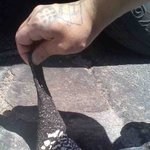 [공포베스트] 요즘 미국에서 <b>유행</b>하는 인증샷