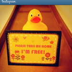 [EXO] ㅋㅋㅋ증거더있음 ;; 존웃