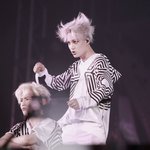 [EXO] 좆 지랄도 작작 해야 재밌지