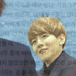 [EXO] 백현아 너는 정말 개쓰레기야 시발ㄹㄹ 개/색/끼