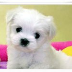 네이트판은 <b>익명</b>임?