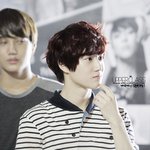 [EXO] 아나 갑자기 생각났는데 변백혐지금반응보고