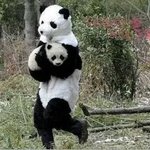 [EXO] 이거오늘까진데 지게생김