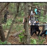 [<b>풍악</b>울려라] 종단대순진리회 여주본부도장  상급임원, 간벌 및 제초작업...