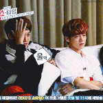 [EXO] 엑소가 엑팬들한테 아주 <b>사소</b>한거라도 역조공해주면