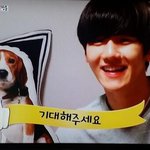 [EXO] 진심 <b>개새</b>낏ㅅㅅ다