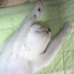 [<b>상순</b>이] 천방지축 말괄량이 <b>상순</b>이와 함께하는 동거생활 2