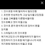 [exo] +수정)변백현일화보면 왕따<b>구출</b>해줫단 얘기가잇는데