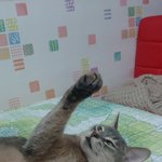 <b>나무</b>의 꽁냥꽁냥 일상