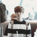[EXO] 애들아 이 <b>어플</b>뭔지알아?