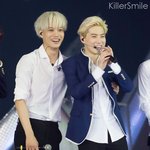 [EXO] 얘네들이 진짜 오레오지 ㅡㅡ