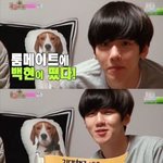 [exo] 백혐 직접 본인 <b>입</b>으로 인증함!