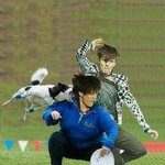 [EXO] 저딴게 베플이니백혐이 착각할까봐 개짜증
