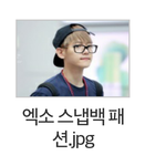 [EXO] 네이트판 우리한테 눈갱<b>시전</b>하네
