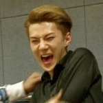 [EXO] 둘기보다 루한이 더 대박나실게요^^