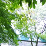 [exo] 준면이 상메;;