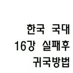 [월드컵] 한국 <b>국대</b> 16강 실패후 귀국방법