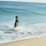 [EXO] <b>야생</b>니니