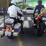 [틴펫스토리] 고딩의 위기