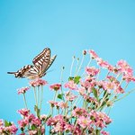 <b>허벅</b>지살 빼는데 좋은 체조 미소진한의원에서 소개하고가용~