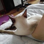 [도와주세요] 조언좀 해주세요ㅠㅠ