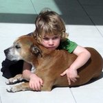 [소오름] 개의 <b>수명</b>이 사람보다 훨씬 짧은 이유