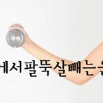 [다이어트운동] 집에서 팔뚝살빼기 운동